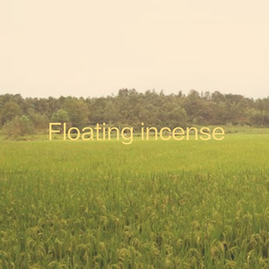 欧美操大逼短视频
